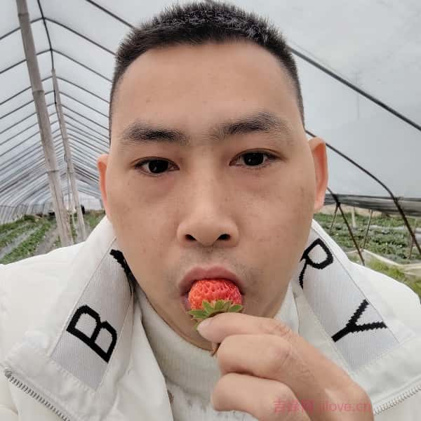 湖南征婚网
